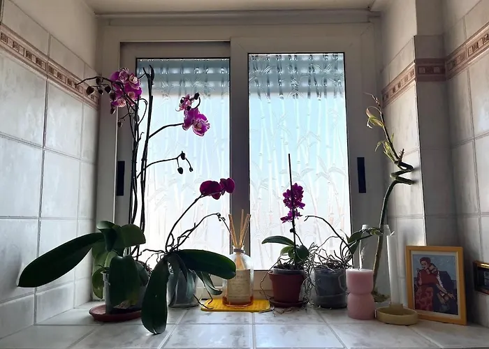 Appartement Casa Di Ross
